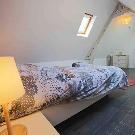 Les Magnolias - Grand Duplex Hypercentre - 254 Apartment *